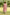 Gul Light Pink Block Print Cotton Dress | Ray-ethnic