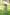 Gul Green Block Print Cotton Set of 2 | Ray-ethnic