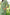 Gul Green Block Print Cotton Set of 2 | Ray-ethnic