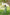 Gul Green Block Print Cotton Set of 2 | Ray-ethnic