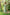 Gul Green Block Print Cotton Set of 2 | Ray-ethnic