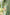 Gul Green Block Print Cotton Set of 2 | Ray-ethnic
