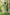 Gul Green Block Print Cotton Set of 2 | Ray-ethnic