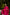 Ray Ethnic Ira | Bright Pink Muga Silk Bandhej Kurta Set of 3 with Hand Embroidery & Matching Dupatta