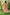Gul Light Pink Block Print Cotton Set of 2 | Ray-ethnic