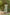 Gul Green Block Print Cotton Set of 2 | Ray-ethnic