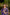 Block-Crafted Mul Chanderi Festive Set of 3 – Ira by Ray Ethnic