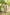 Gul Olive Green Block Print Cotton Set of 2 | Ray-ethnic