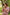 Gul Pink Block Print Modal Top | Ray-ethnic