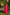 Ray Ethnic Ira | Handcrafted Soft Pink Chanderi Silk Kurta Set of 3 with Cotton-Silk Dupatta