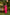 Ray Ethnic Ira | Handcrafted Soft Pink Chanderi Silk Kurta Set of 3 with Cotton-Silk Dupatta