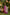 Ray Ethnic Ira | Handcrafted Fuchsia Tasar Silk Kurta Set of 3