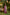 Ray Ethnic Ira | Handcrafted Fuchsia Tasar Silk Kurta Set of 3