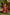 Ray Ethnic Ira – Handcrafted Tasar Silk Dupatta, Badla & Embroidery
