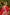 Ray Ethnic Ira – Handcrafted Tasar Silk Dupatta, Badla & Embroidery