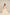Off-White Thick Cotton Skirt with Golden and Silver Borders – NavRas