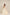 Off-White Thick Cotton Skirt with Golden and Silver Borders – NavRas