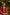 Ray Ethnic Ira – Cherry Red Muga Silk Set of Three with Shibori & Hand Embroidery