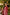 Ray Ethnic Ira – Cherry Red Muga Silk Set of Three with Shibori & Hand Embroidery
