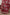 Chanderi Hand Block Printed Saree in Maroon – Sama