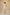 Ek Dor Cream Muga Silk Kurta with Machine Embroidery