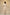 Ek Dor Cream Muga Silk Kurta with Machine Embroidery
