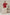 Hand Embroidered Cotton Shirt with Apple-Cut Hem in Maroon – Suchi