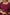 Ek Dor Hand Embroidered Muga Silk Kurta Set – Magenta Elegance