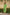 Saral Olive Green Pure Cotton Kurta & Bottom Set | Ray-ethnic