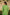 Saral Olive Green Pure Cotton Kurta & Bottom Set | Ray-ethnic