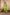 Ray Ethnic The Ira Green Cotton Silk Slub Set of Three with Chanderi Dupatta