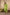 Ray Ethnic The Ira Green Cotton Silk Slub Set of Three with Chanderi Dupatta