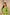 Ray Ethnic The Ira Green Cotton Silk Slub Set of Three with Chanderi Dupatta