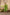 Ray Ethnic The Ira Green Cotton Silk Slub Set of Three with Chanderi Dupatta