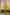 Ray Ethnic The Ira Green Cotton Silk Slub Set of Three with Chanderi Dupatta