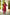 Maroon Pure Cotton Kurta | Saral – Ray Ethnic