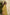 Saral Ajrakh Green Pure Cotton Kurta | Ray-ethnic