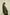 Neelam Olive Green Stitch Detail Cotton Top | Ray-ethnic