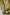 Indian Summer Sea Green Cotton Kurta  | Ray-ethnic