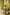 Indian Summer Yellow Printed Cotton Set of 2 | Ray-ethnic