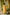 Indian Summer Yellow Printed Cotton Set of 2 | Ray-ethnic