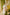 Indian Summer Orange Printed Mul Mul Set of 3 | Ray-ethnic