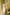 Indian Summer Orange Printed Mul Mul Set of 3 | Ray-ethnic