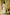 Indian Summer Orange Printed Mul Mul Set of 3 | Ray-ethnic