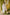 Indian Summer Purple Printed Mul Mul Set of 3 | Ray-ethnic