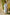 Indian Summer Blue Printed Mul Mul Set of 3 | Ray-ethnic