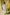 Indian Summer Blue Printed Mul Mul Set of 3 | Ray-ethnic