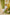 Indian Summer Blue Printed Mul Mul Set of 3 | Ray-ethnic