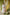 Indian Summer Peach Printed Mul Mul Set of 3 | Ray-ethnic