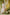 Indian Summer Peach Printed Mul Mul Set of 3 | Ray-ethnic
